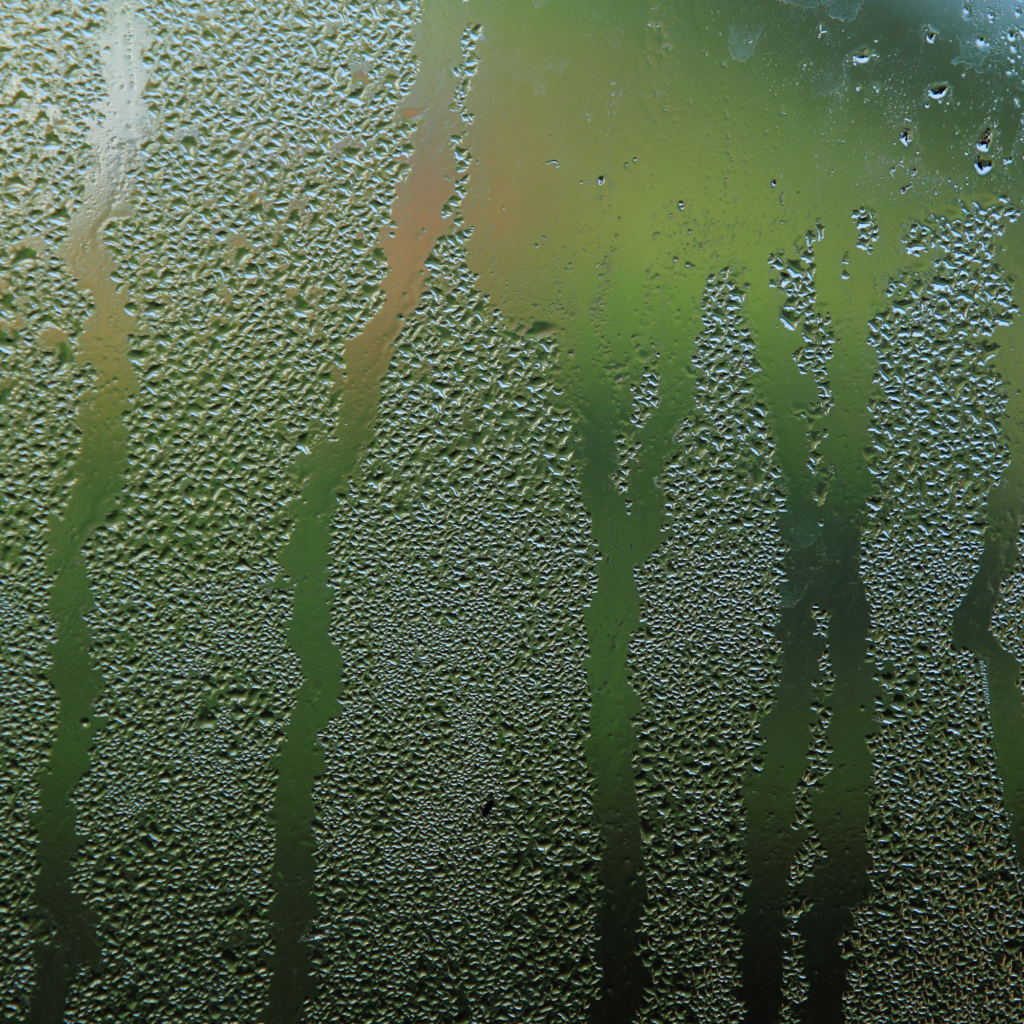 De l’eau qui se dépose sur les parois froides