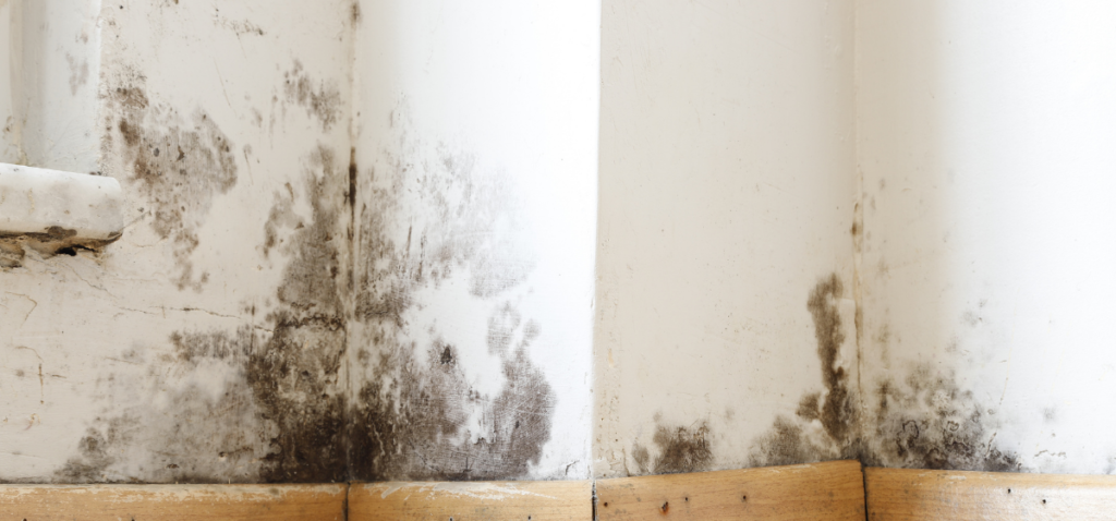 Quand l’humidité rend le mur froid