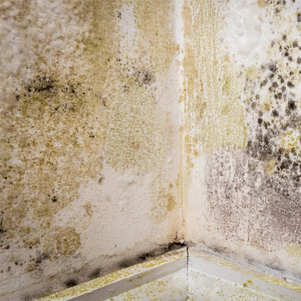 Une barrière étanche créée dans le mur